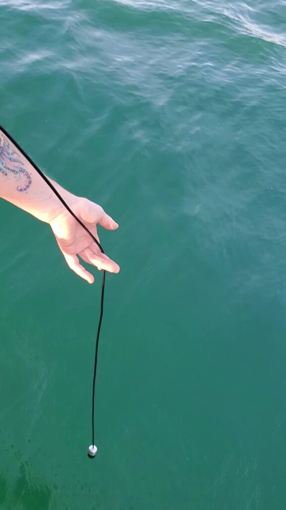 Caro descend l'hydrophone dans l'eau depuis le bateau, Curaçao