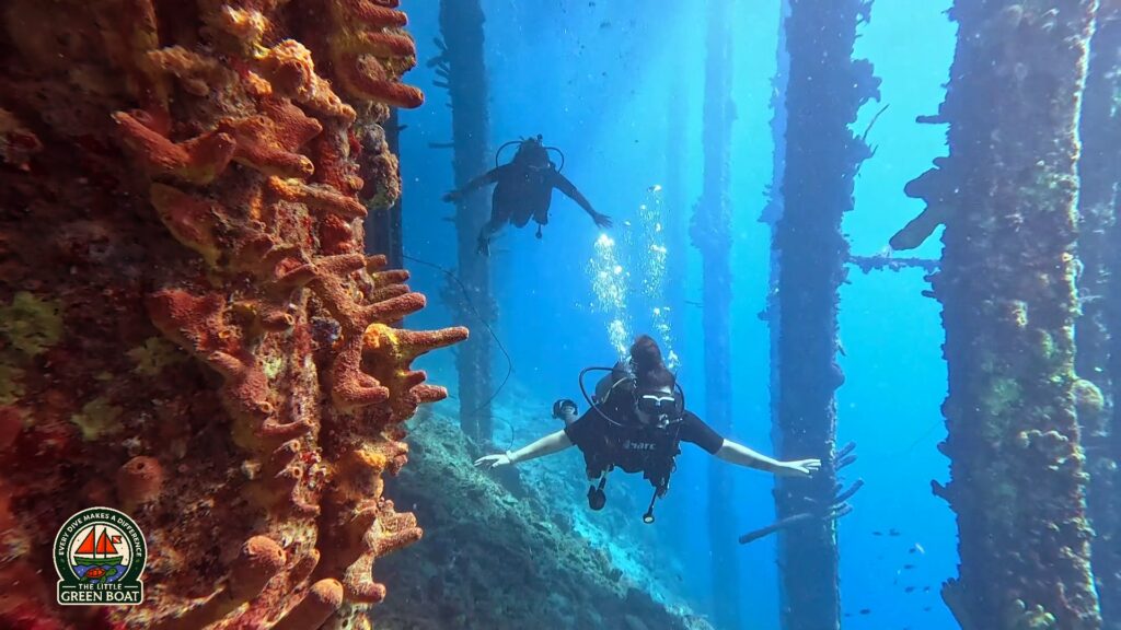 Plongeur parmi les piliers couverts de coraux d'un ponton, Curaçao